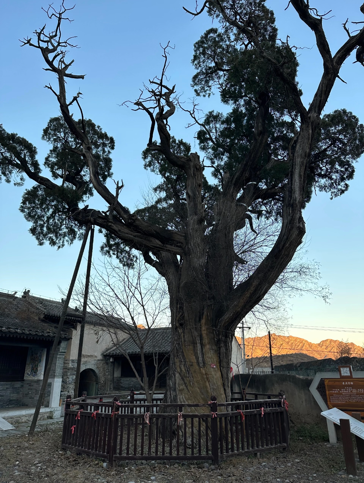 Dragon King Temple Stage